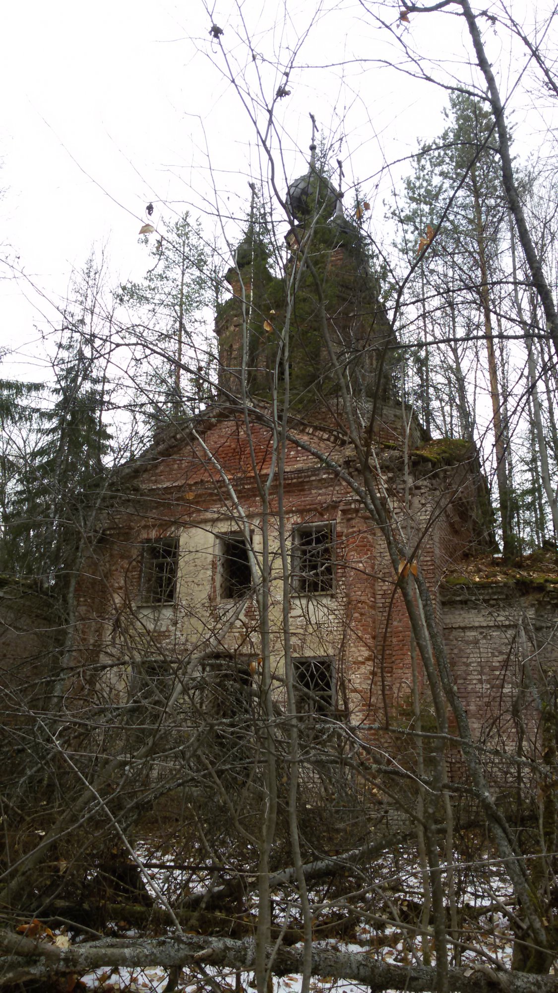 20141103_122722.jpg