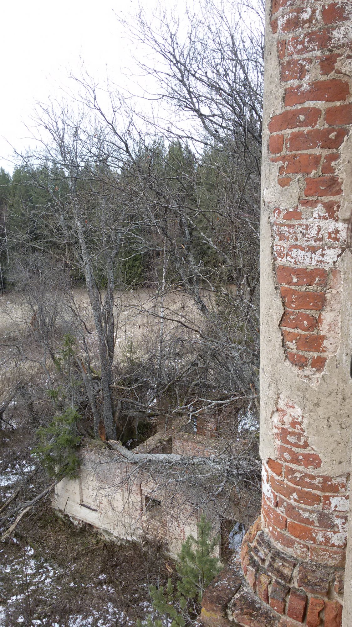20141103_123730.jpg