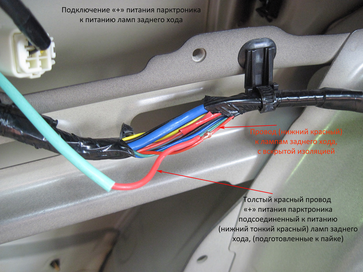 Постоянно пищит. Провод заднего хода sx4. Провод электропитания лампы заднего хода. Провод заднего парктроника Ford. Форд Транзит 2014 плюсовой провод заднего хода.