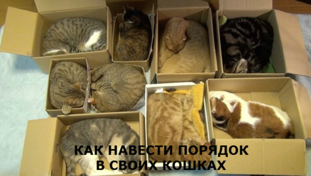 Снимок экрана 2015-05-20 в 14.40.49.png