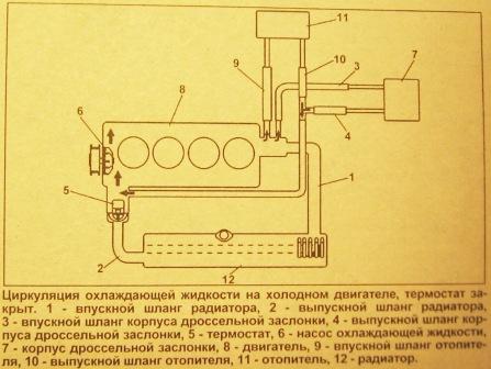 IMG_5220_sys_ohl_.JPG