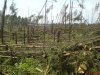 AfterStorm1-800x600.JPG