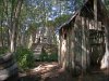 jungle-01.jpg