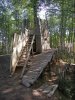 jungle-03.jpg