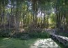 jungle-06.jpg