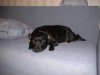 DSC00061.JPG