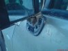 DSC02100.jpg