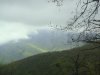 DSC01709.jpg