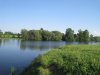 IMG_2029.jpg