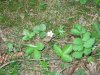 IMG_2033.jpg