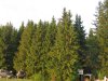 IMG_2043.jpg