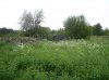 IMGP6523_новый размер.jpg