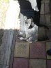 IMG_20170706_154946.jpg
