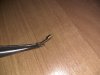 IMG_20170809_122305.jpg
