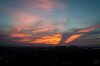 DSC04860-1.jpg