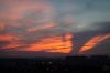 DSC04868-1.jpg