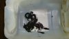DSC01762.JPG