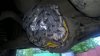 WP_20180506_18_02_48_Pro.jpg