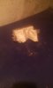 IMG-20180521-WA0093.jpg