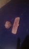 IMG-20180521-WA0095.jpg