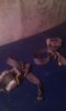 IMG-20180521-WA0102.jpg