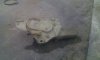 IMG-20180521-WA0179.jpg