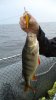 DSC02375.jpg
