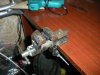 DSCN1423.JPG
