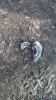 20190411_082440.jpg