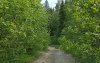 20190613_095827.jpg