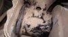 upload_2019-9-3_18-27-52.jpeg