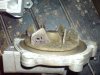 DSC00758.JPG