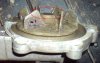 DSC00758.JPG