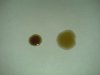 DSC01875_.jpg