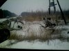 IMG043.jpg