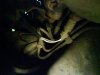 DSC00287.jpg
