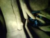 DSC00288.jpg