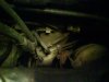 DSC00285.jpg