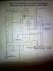 DSC00445.jpg