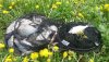20150524_102829.jpg