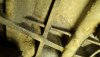 IMG-20201230-WA0001.jpg