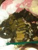IMG_20201228_205627.jpg