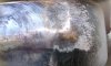 IMG_20200728_155701.jpg