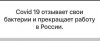 IMG-20220304-WA0000.jpg.304b0d28bed96a952ca63a80c171fe6e.jpg