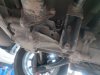 IMG_20220617_131133_657.jpg