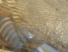 2023-06-21_135031.png