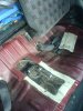 DSC00789.jpg