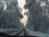 S1050490.JPG