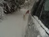 S1050475.JPG