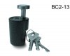 BC213.jpg